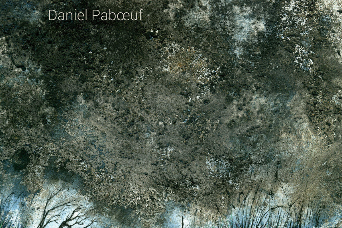 image : Daniel Paboeuf • Ashes ?