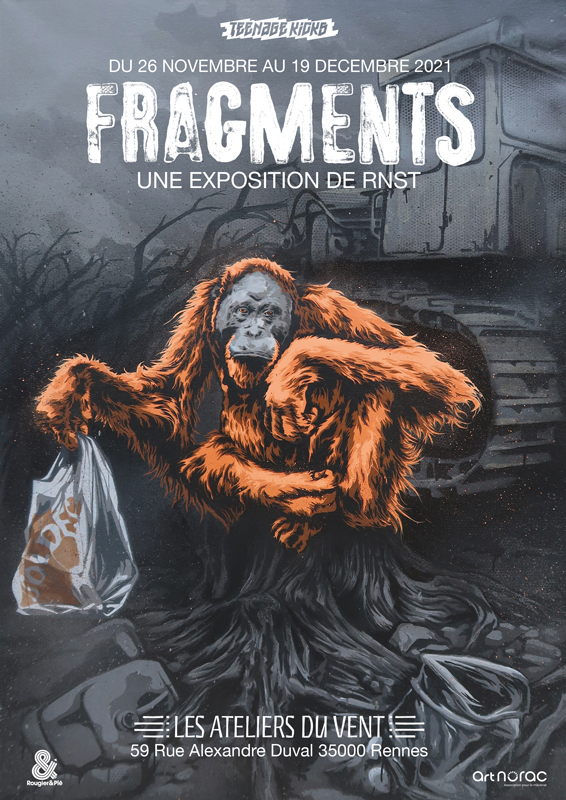 image : Fragments