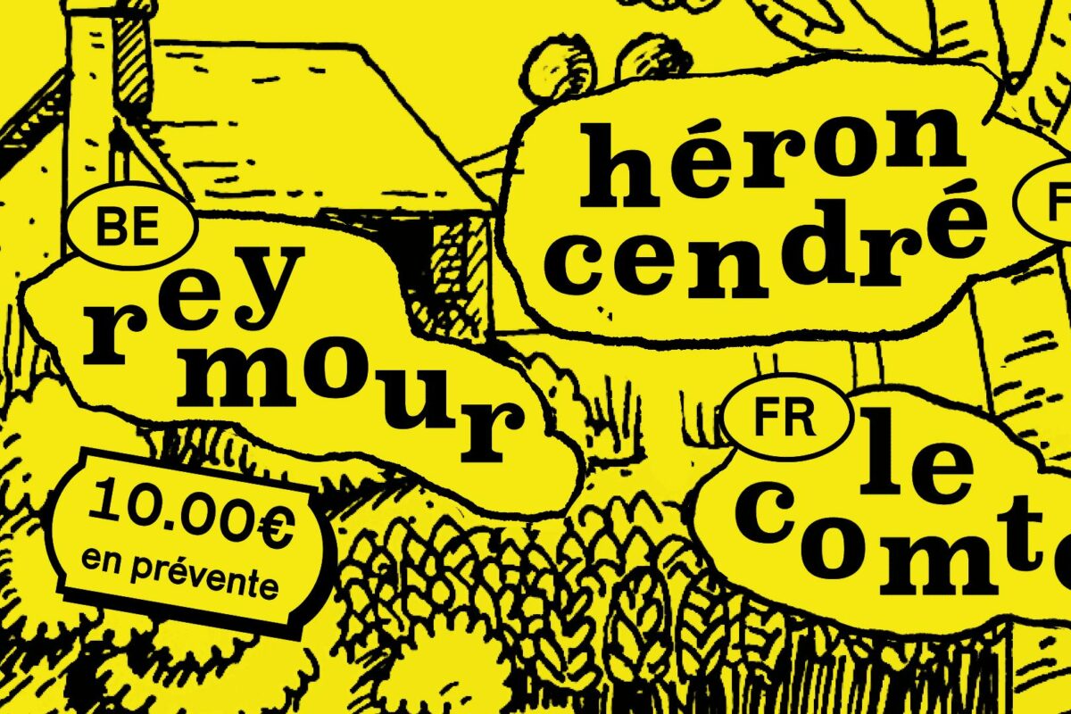 image : Reprise… au vent : Reymour + Héron cendré + Le Comte