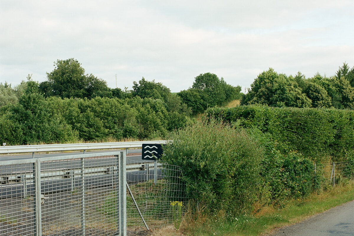 image : Aimons-nous vivants ! • Printemps bruyant invite les éditions Wildproject & des artistes-chercheurs