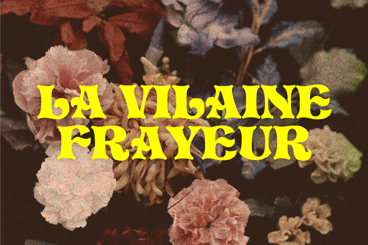 image : La Vilaine frayeur