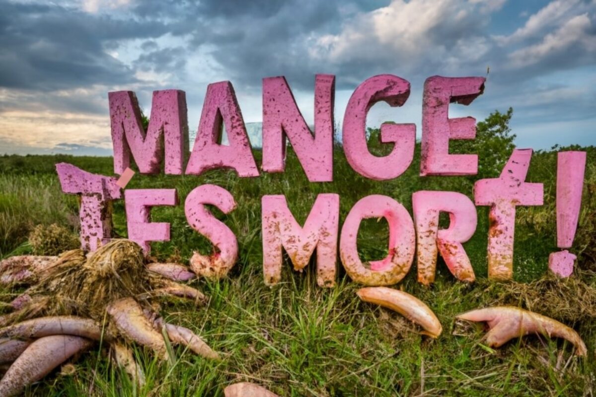 image : Mange, t’es mort ! • atelier du ventre