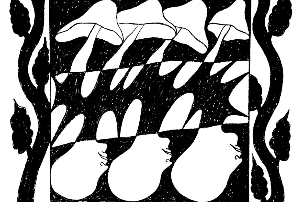 image : Terrier-Déter