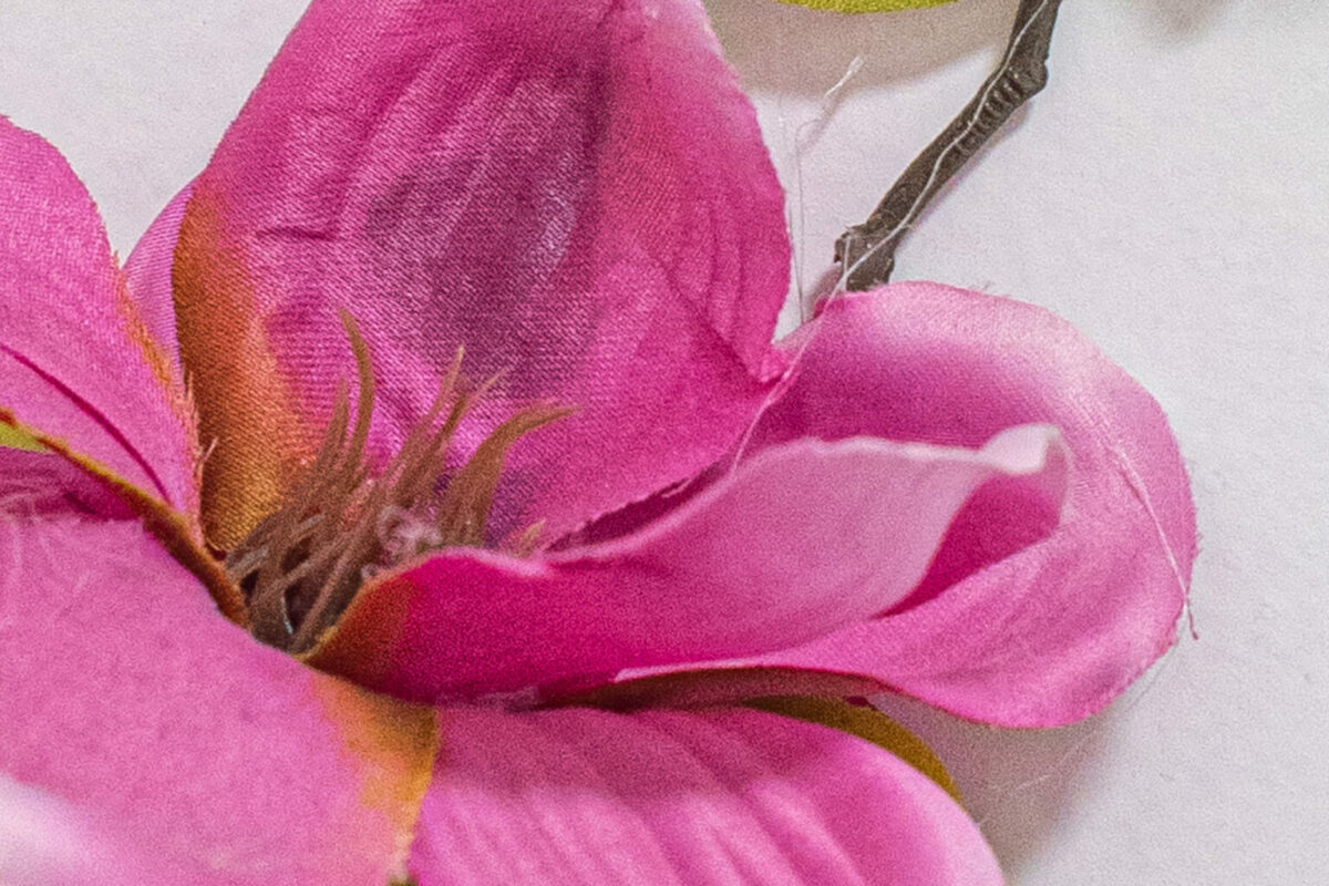 image : Micro Saga • Atelier du ventre