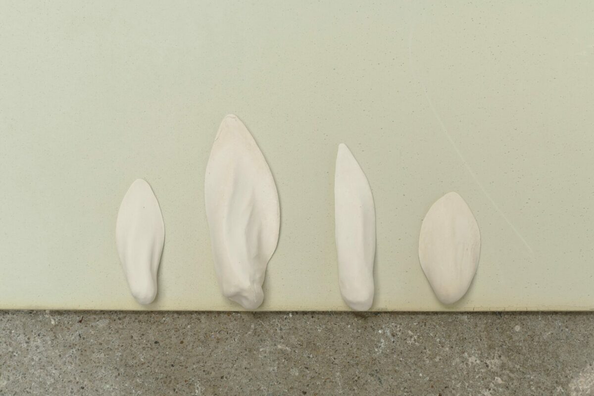image : Comme des coquilles vides • Jade Beaufils