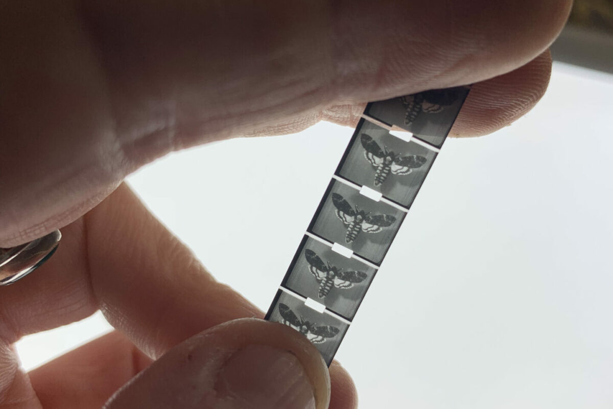 image : Sortie de bain • Labo K