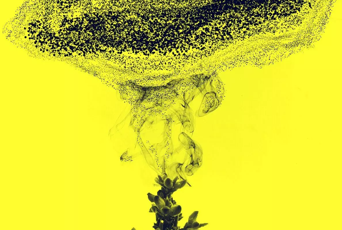 image : Nuée • Le Ministère des Affaires Profondes + sortie d’usine Romane Bladou