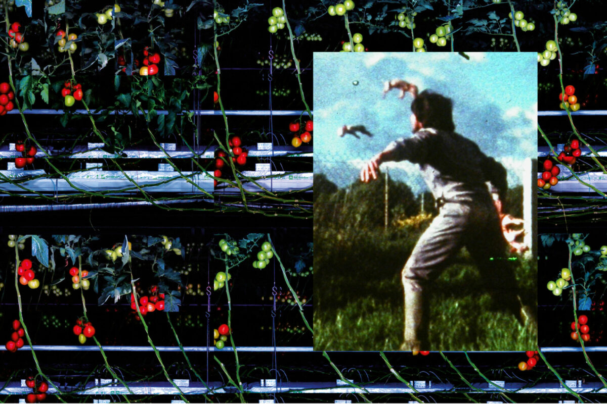 image : Du lisier au coursier • projections à l’Arvor