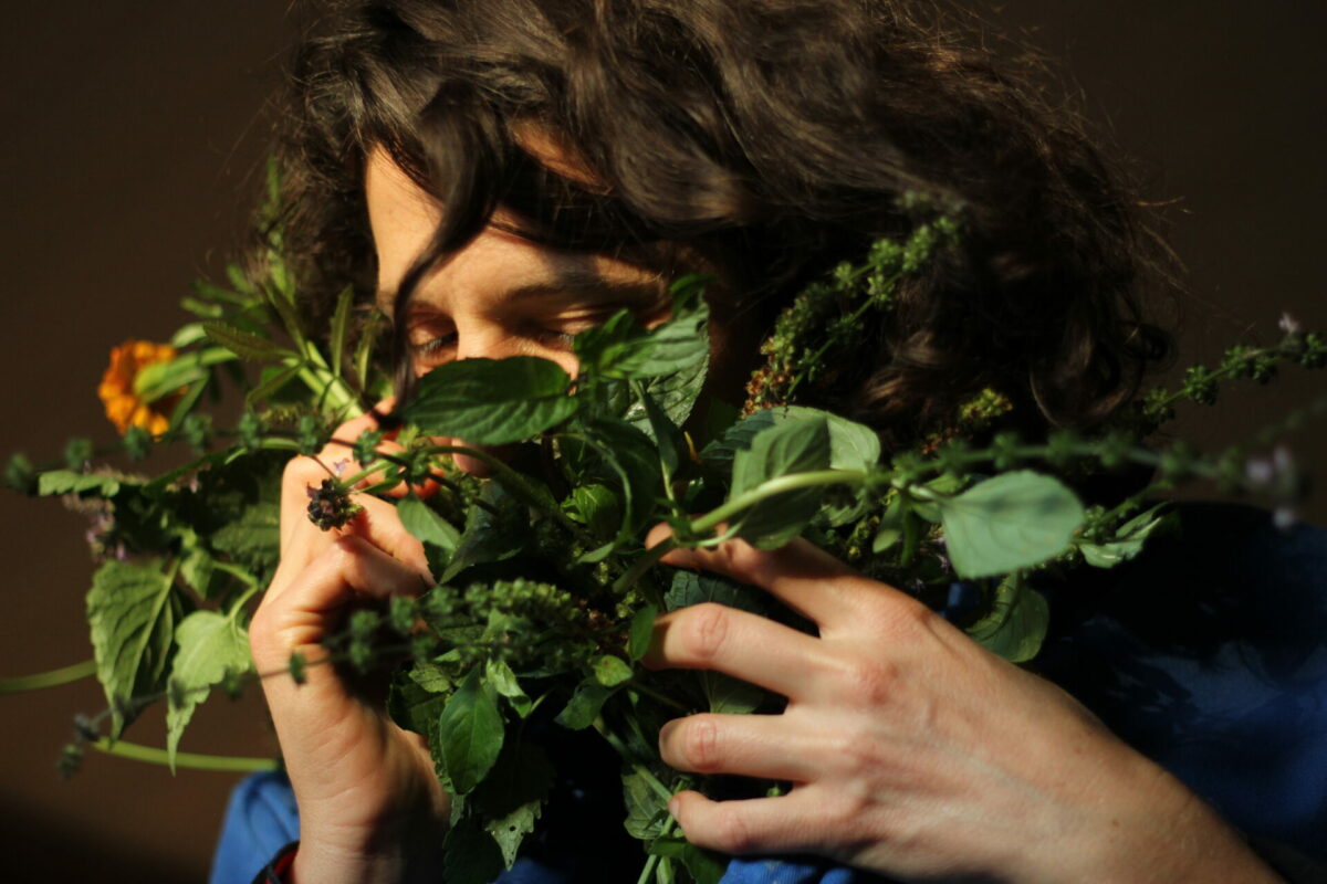 image : Monstera Deliciosa • Anna Mermet & Arthur D’Haeyer