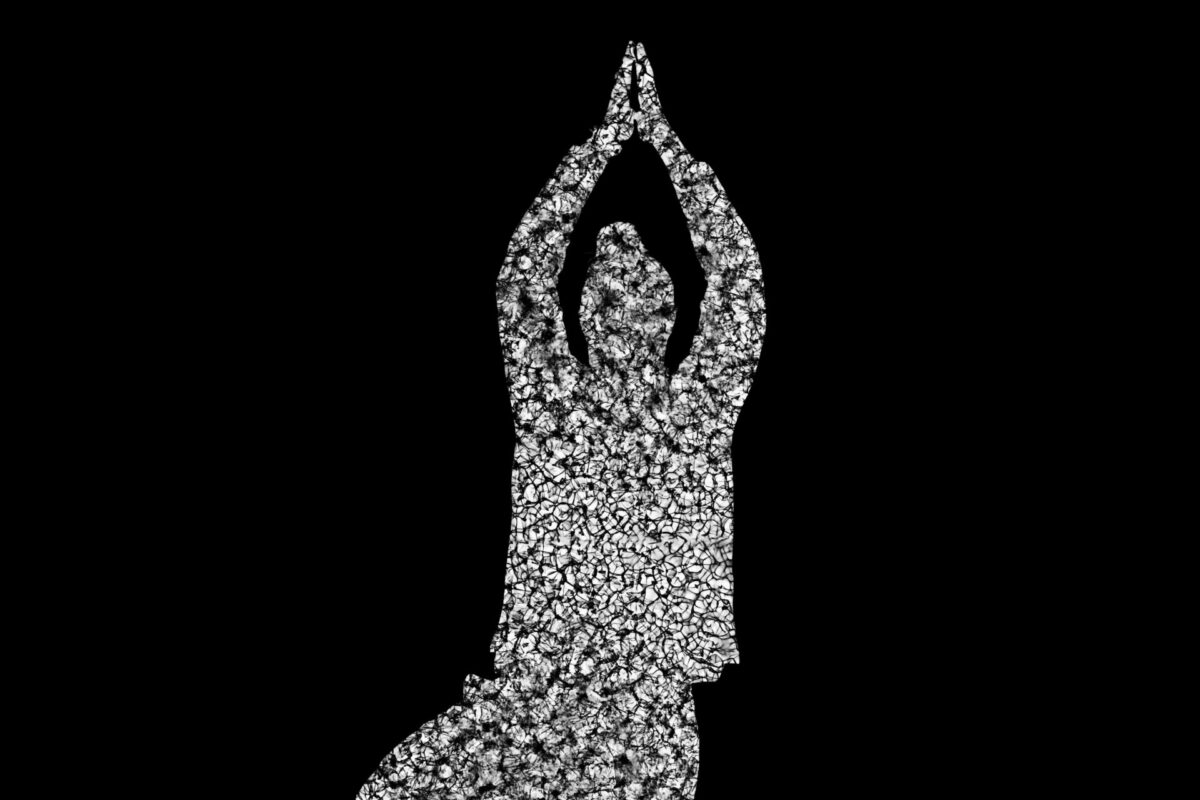 image : Mael Le Golvan • Nos frissons